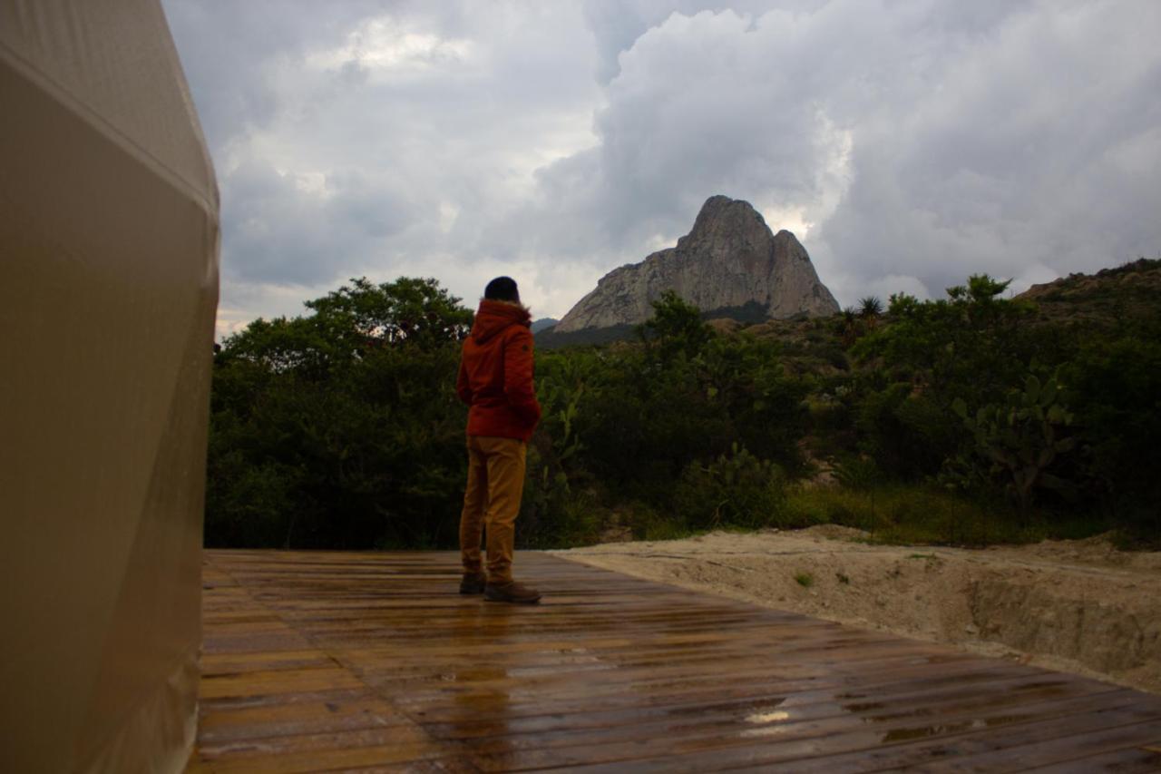 Cool Glamping Bernal Hotel ภายนอก รูปภาพ