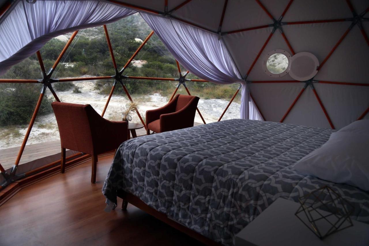 Cool Glamping Bernal Hotel ภายนอก รูปภาพ