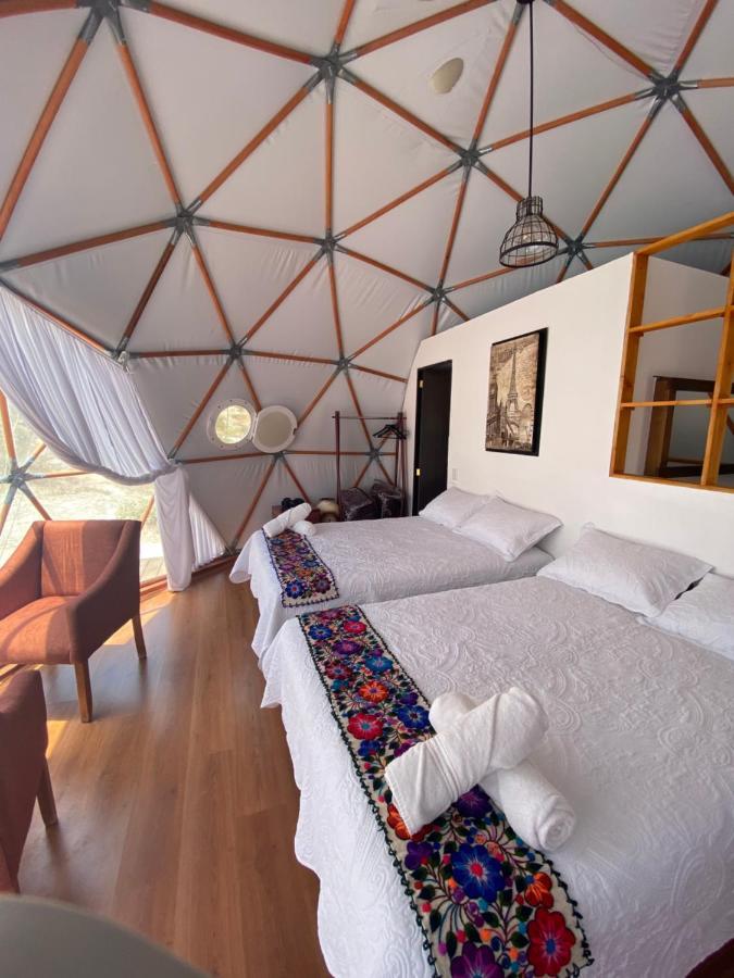 Cool Glamping Bernal Hotel ภายนอก รูปภาพ