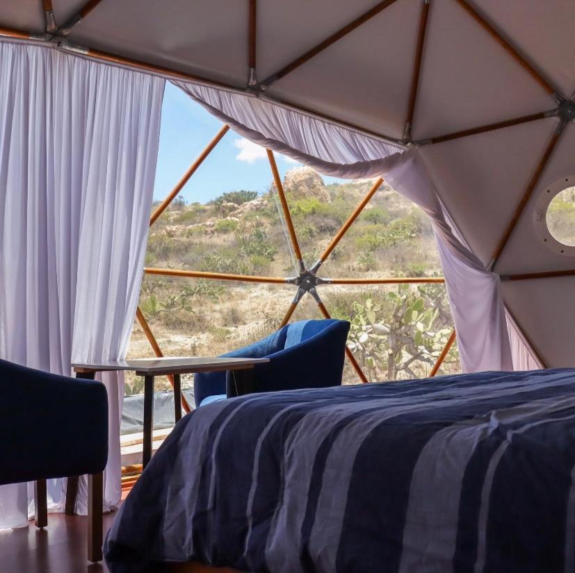 Cool Glamping Bernal Hotel ภายนอก รูปภาพ