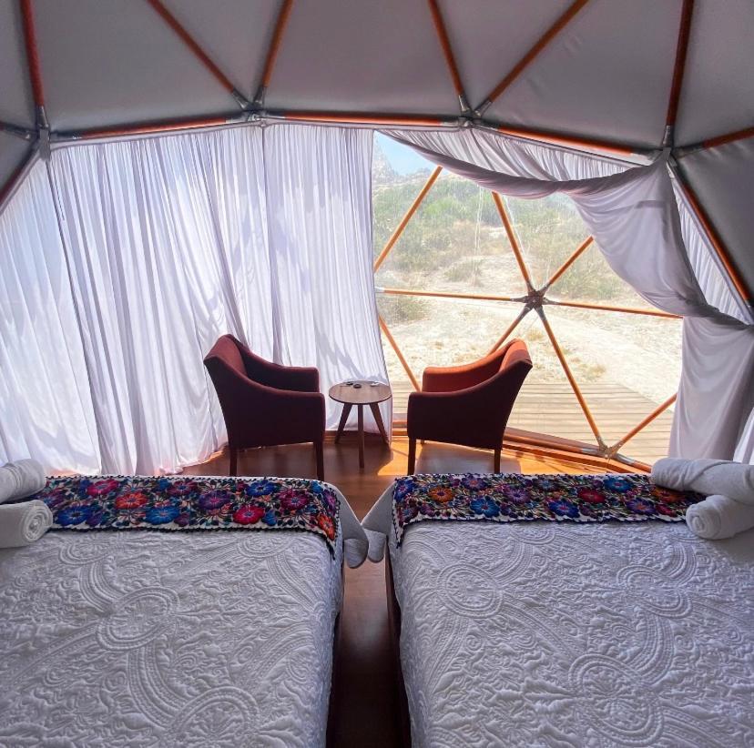 Cool Glamping Bernal Hotel ภายนอก รูปภาพ